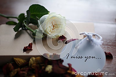 I miss you. Romantic note message written on white paper tag label with background of white rose lying and dried petals scattered Stock Photo