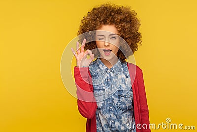 I am okay! Portrait of optimistic happy woman with curly hair in jeans shirt showing ok gesture and winking Stock Photo
