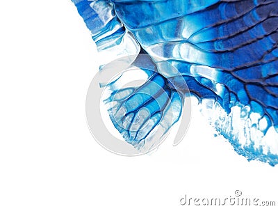 Blue and white acrylic painting texture on white paper background by using rorschach inkblot method. Stock Photo