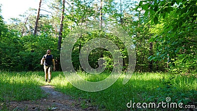 I pantaloni a vita bassa barbuti dell'uomo che camminano sul sentiero forestale durante gli aumenti sulla vacanza Aumenti di avve archivi video I pantaloni a vita bassa barbuti dell'uomo che camminano sul sentiero forestale durante gli aumenti sulla vacanza Aumenti di avve archivi video
