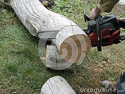 I sawed a tree trunk with a chainsaw, preparing firewood Stock Photo