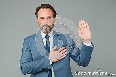 I swear. Senior lawyer make oath grey background. Mature man hold hand on heart and open palm. Pledge of allegiance Stock Photo
