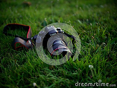 Lumix GH4 sitting in the grass. Editorial Stock Photo