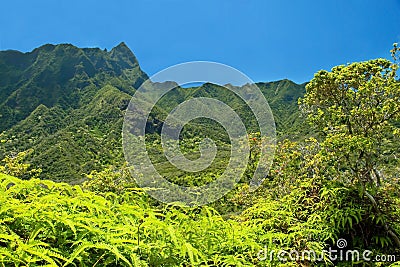 Iao Valley State Park on Maui Hawaii Stock Photo