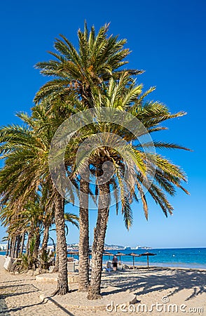 Ibiza Playa d En Bossa beach in Balearic Islands Stock Photo