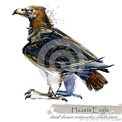 Ice Age wildlife. prehistoric period fauna. Haasts Eagle. Stock Photo