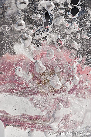 Ice Bubbles and a Pink Flower Stock Photo