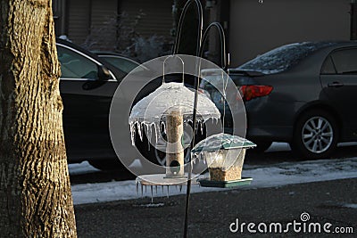 Ice coated bird feeders in a yard Stock Photo