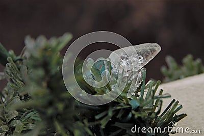 Ice covered Christmas lights on green garland Stock Photo