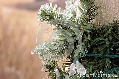 Ice covered Christmas lights on green garland Stock Photo