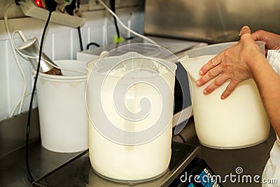 Ice cream ingredients mix together with blender. Female chef is mixing milk and preparing basics for ice cream production. Stock Photo