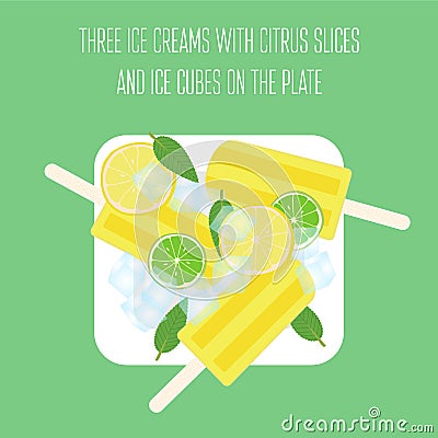 Ice creams popsicles with mint leaves, citrus slices and ice cubes Vector Illustration