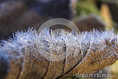 Ice crystals Stock Photo