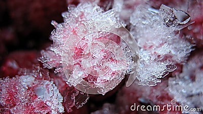 Ice crystals and Summer Berries Stock Photo