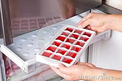 Ice cube tray with frozen wine in the freezer. Frozen wine Stock Photo