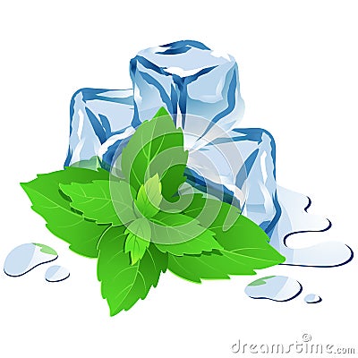 Ice cubes with mint isolated on white Vector Illustration