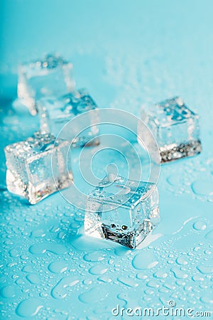 Ice cubes are scattered with water drops scattered on a blue background Stock Photo