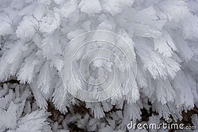 Ice flowers in winter time, white frost close up detail , nature in the winter Stock Photo