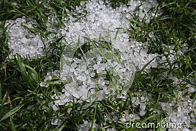 ice hail on wet green grass in summer or spring. Precipitation is hazardous to nature Stock Photo