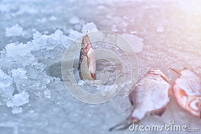 Ice hole fishing. Winter fishing in freezing cold weather concept Stock Photo