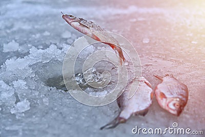 Ice hole fishing. Winter fishing in freezing cold weather concept Stock Photo