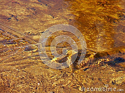 Ice in iron rich water Stock Photo