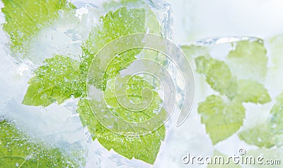 Ice mint. Frozen fresh mint in an ice cubes Stock Photo