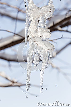 Ice on the nature Stock Photo