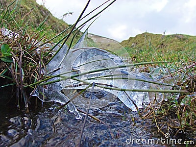 Ice over stream with water running beneath with grass and rushes Stock Photo