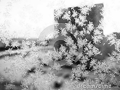 Ice patterns on the window. Beautiful curls and crystals on glass. Outside the window there is a blue winter sky, snow and a city Stock Photo