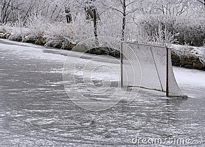 ice-ring-hockey-net-4037542.jpg