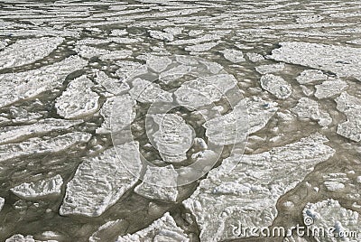 Ice on the sea surface - Textura Stock Photo