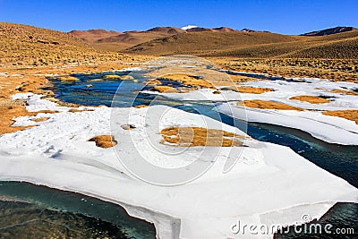 Ice sheet on grasses ,Bolivia Stock Photo