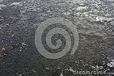 Ice texture of ice skating rink outdoors with snow Stock Photo