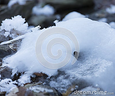 Ice Tunnel On River Stock Photo