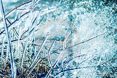 Ice on a twigs near lake close up and beautiful bokeh Stock Photo