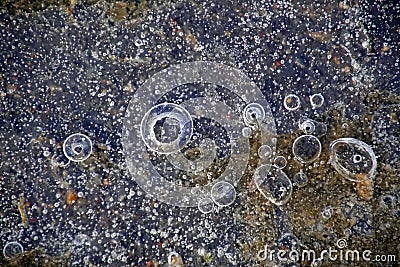 Ice underfoot. Frozen air bubbles. Winter February Puddle on the road. Stock Photo