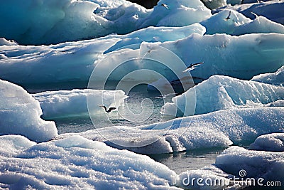 Iceberg Lagoon, Jokulsarlon lake, Iceland Stock Photo