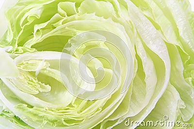 Iceberg Lettuce Stock Photo