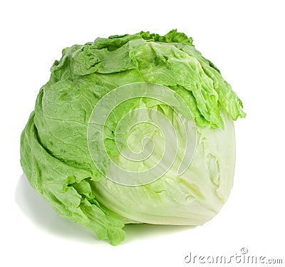 Iceberg lettuce. Stock Photo