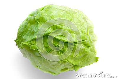 Iceberg Lettuce Stock Photo