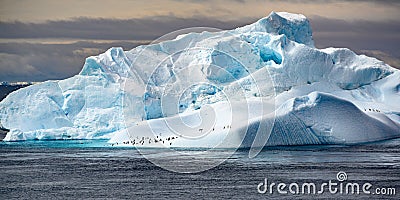 Iceberg with penguins and cormorants. Beautiful blue and turquoise iceberg in Antarctica with many animals. Photo is very sharp. Stock Photo