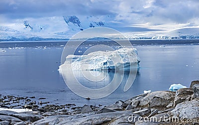 Iceberg Snow Mountains Blue Glaciers Damoy Point Antarctica Stock Photo