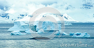 Icebergs in Antarctica Stock Photo