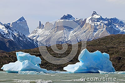 Icebergs in Lake Grey. Torres del Paine National Park. Patagonia. Chile Stock Photo