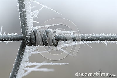 Iced fence Stock Photo
