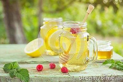 Iced tea with lemon slices and mint. Stock Photo