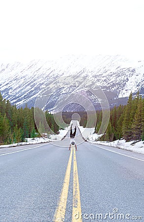 Icefields Parkway Handstand Stock Photo