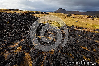 Iceland landscape with volcanic stones Stock Photo