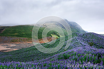 Iceland Stock Photo